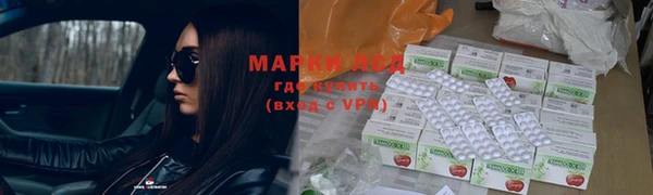 apvp Чекалин