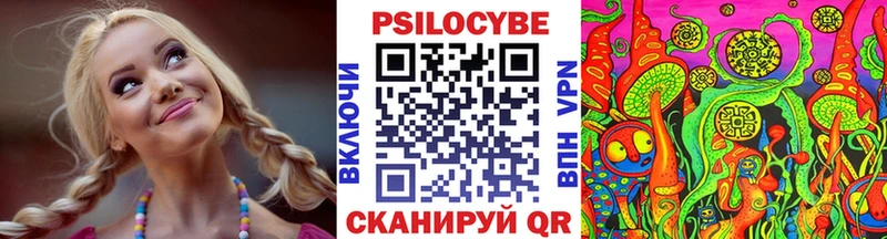 продажа наркотиков  Дигора  MEGA ТОР  Галлюциногенные грибы мухоморы 