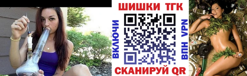 Бошки Шишки гибрид  Дигора 